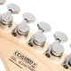 Cort G250 Spectrum MEG