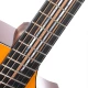 Cort Luxe II elektro-akkusztikus gitár tokkal
