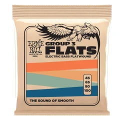 Ernie Ball 2806 Flatwound Bass Group III 45-100