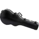 Ibanez JSM20-BKL John Scofield Signature jazzgitár