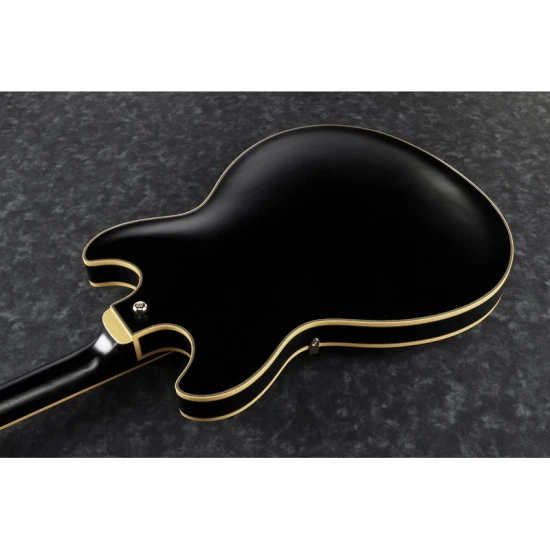 Ibanez JSM20-BKL John Scofield Signature jazzgitár