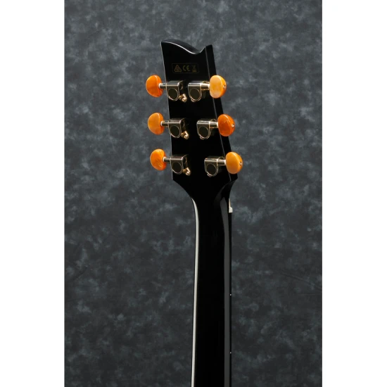 Ibanez EP5-BP Steve Vai signature elektro-akusztikus gitár