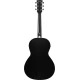 Ibanez PN14MHE-WK elektro-akusztikus gitár