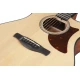 Ibanez AAM50CE-OPN elektro-akusztikus gitár