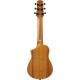 Ibanez AUP10N-OPN guitalele tokkal