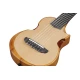 Ibanez AUP10N-OPN guitalele tokkal