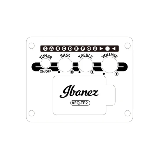 Ibanez AW65ECE-LG elektro-akusztikus gitár