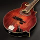 L.R. Baggs Radius-M mandolin hangszedő