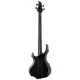 LTD F-1004FM See Thru Black