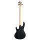 LTD B-10 BK