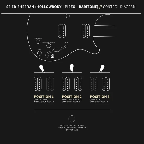 PRS SE Ed Sheeran Hollowbody I Piezo Baritone Kaleidoscope