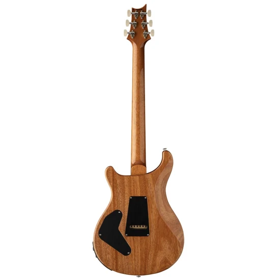 PRS Custom 24 Piezo Aurora Borealis