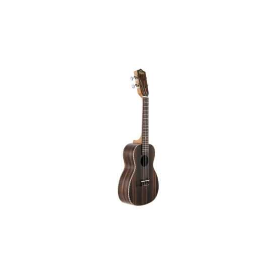 Leho LHUC-ALEB koncert ukulele