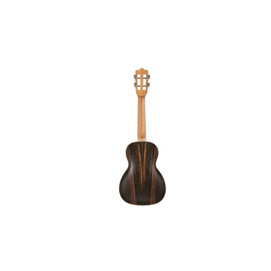 Leho LHUC-ALEB koncert ukulele