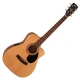 Cort AF515CE OP