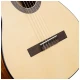 Cort AC100DX OP