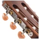 Cort AC100DX OP