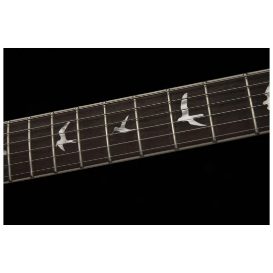 PRS SE Zach Myers 594 Lefty Myers Blue