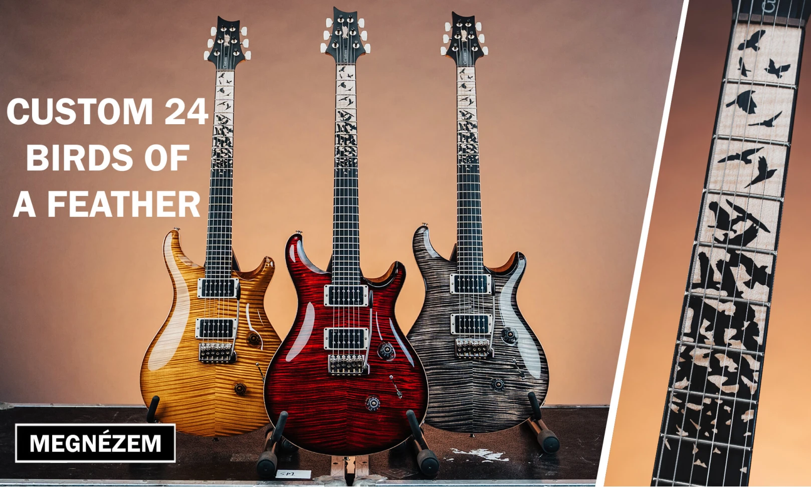 PRS Custom 24 Birds of a Feather