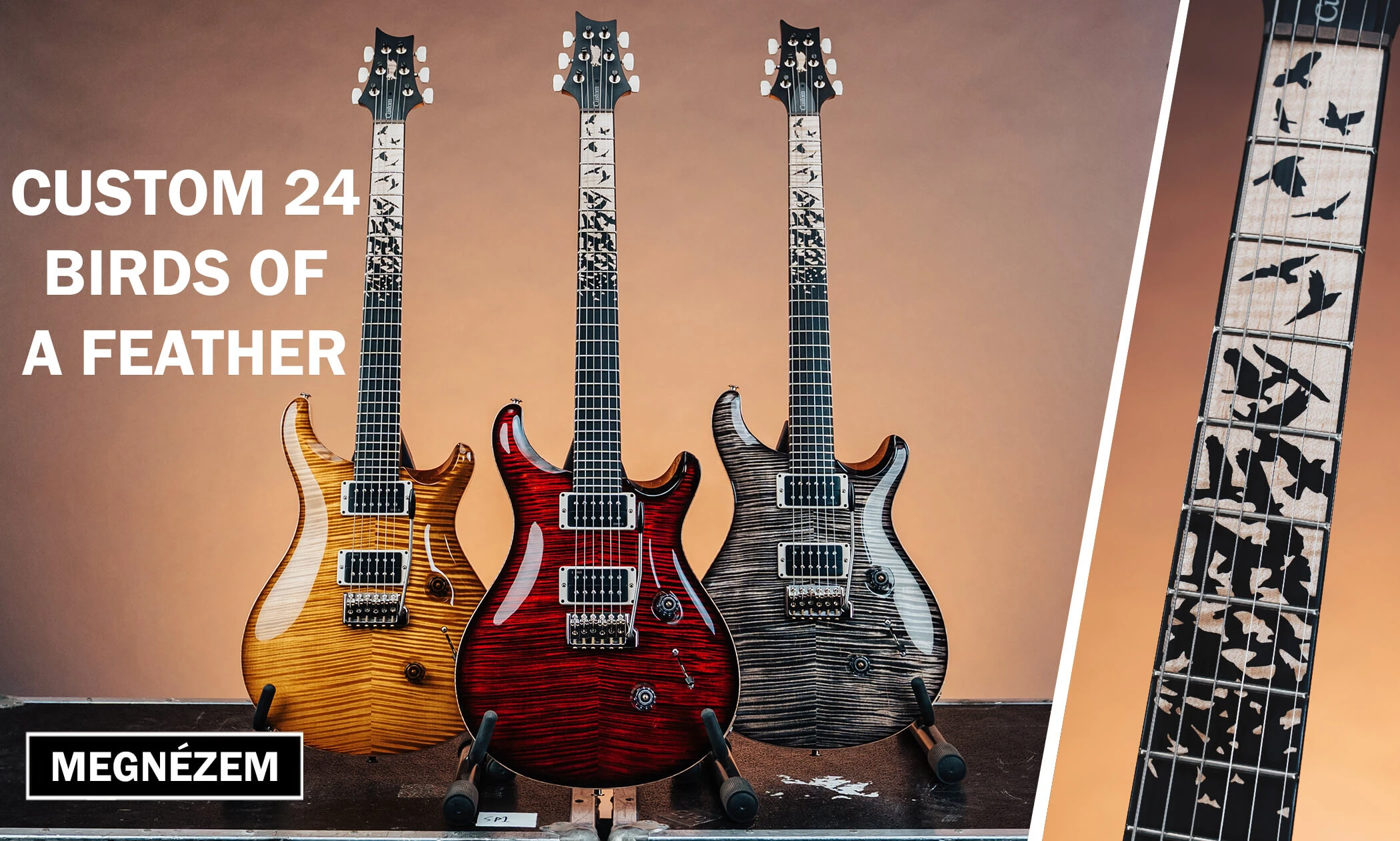 PRS Custom 24 Birds of a Feather