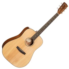 Cort Earth60 NAT