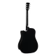 Cort Earth60CE BK
