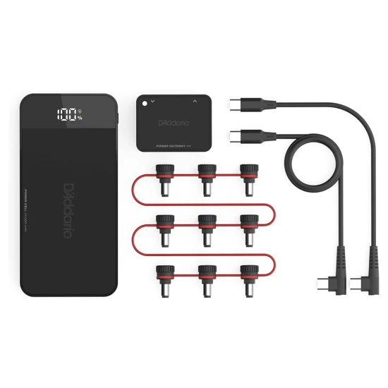 D'Addario PW-XPNDPPBK-01E XPND Pedal Power Battery Kit