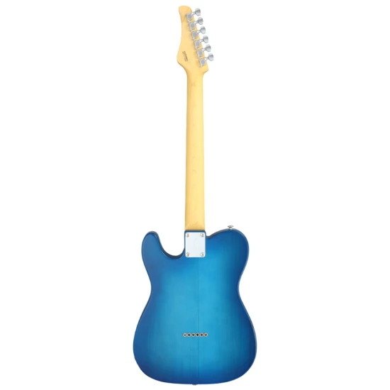 FGN Fujigen Boundary TL SS Transparent Blue