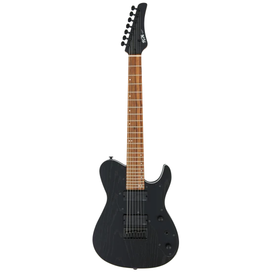 FGN Fujigen J-Standard Iliad Dark Evolution Open Pore Black 7 string