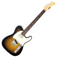 FGN Fujigen Neo Classic TE210 SH 2-Tone Sunburst