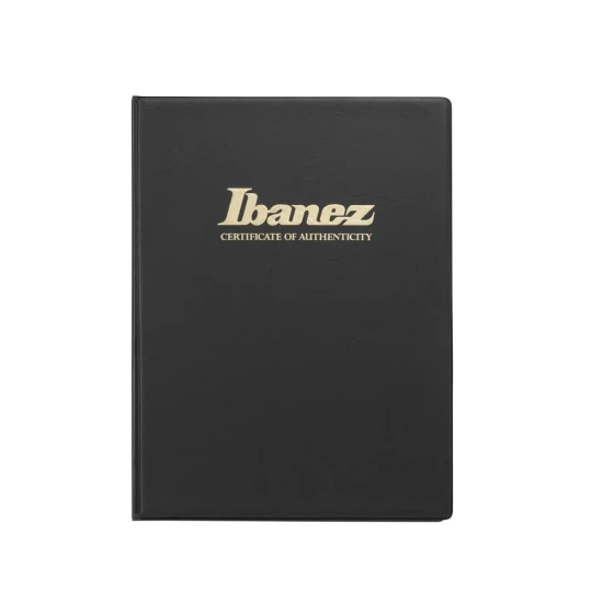 Ibanez IV1RG elektromos gitár