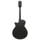 Ibanez AEG1221-BOT 12 húros elektro-akusztikus gitár