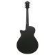 Ibanez AEG621-BOT elektro-akusztikus gitár
