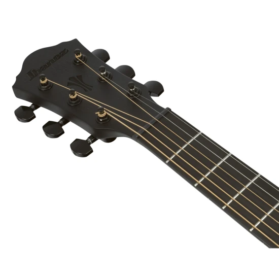 Ibanez AEG621-BOT elektro-akusztikus gitár