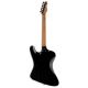 LTD PHOENIX-200DX Black Burst