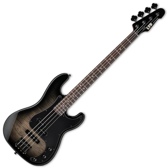 LTD SURVEYOR-204DX Black Burst