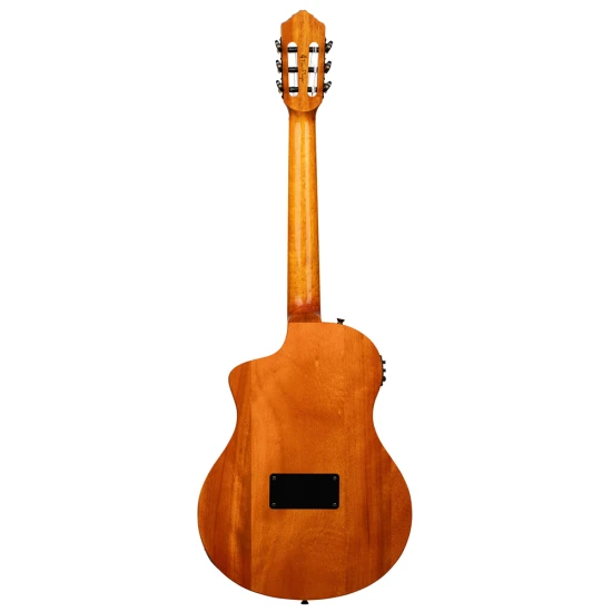 Ortega RTP-LTD TourPlayer DeLuxe 