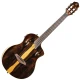 Ortega RTP-LTD TourPlayer DeLuxe 