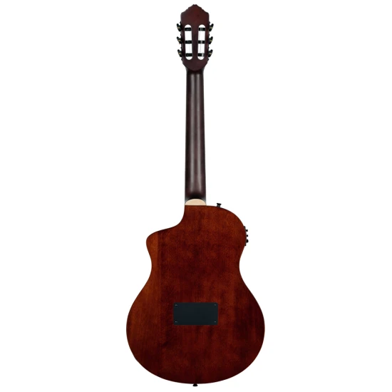 Ortega RTPDLX-ACA TourPlayer DeLuxe 