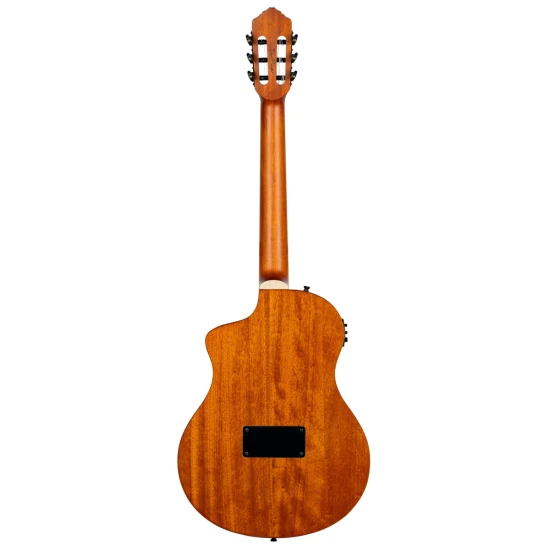 Ortega RTPDLX-FMA TourPlayer DeLuxe 