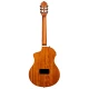 Ortega RTPDLX-FMA TourPlayer DeLuxe 