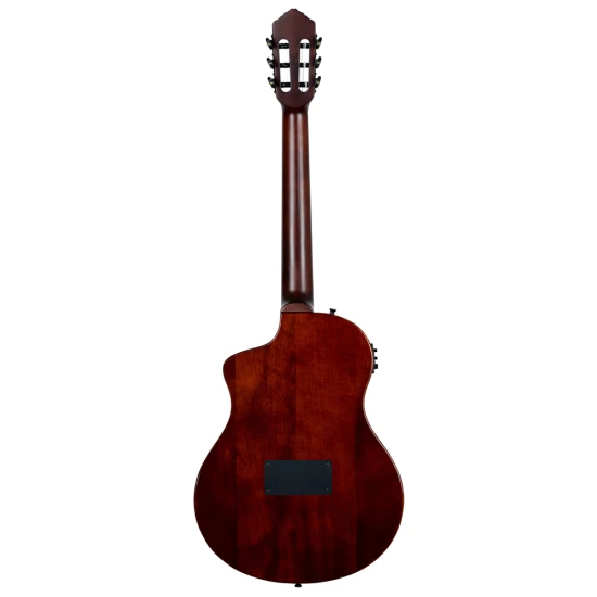 Ortega RTPSTD-NAT TourPlayer DeLuxe 