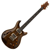 PRS DGT Semi-Hollow Tiger Eye