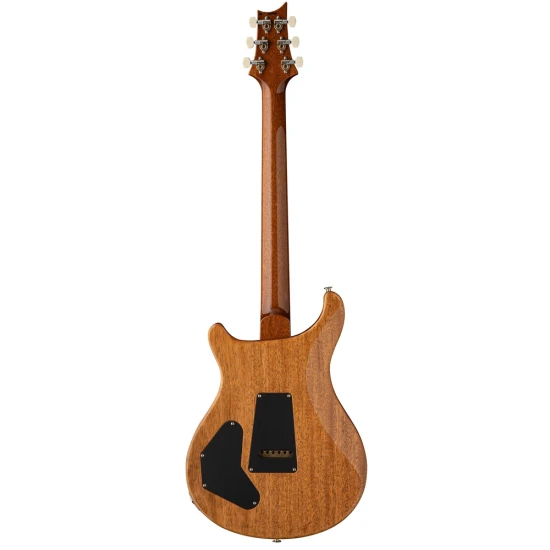 PRS DGT Semi-Hollow Tiger Eye