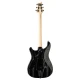 PRS Fiore Black Doghair