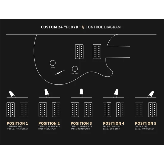 PRS Custom 24 Floyd Black