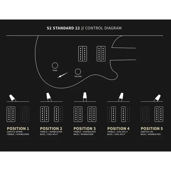 PRS S2 Standard 22 Charcoal Satin