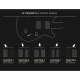 PRS S2 Standard 22 Charcoal Satin