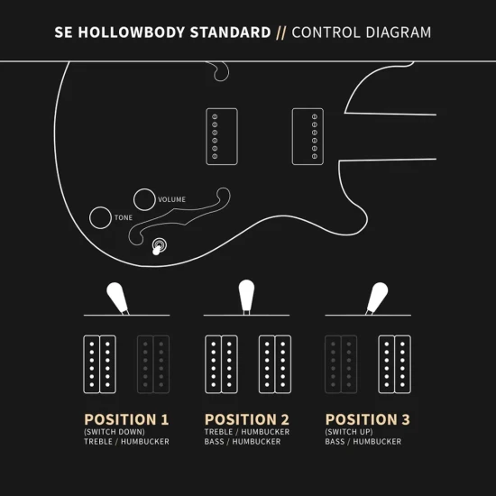 PRS SE Hollowbody Standard Dog Hair Smokeburst