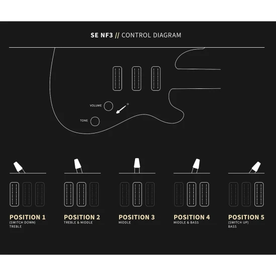 PRS SE NF3 Gun Metal Grey M